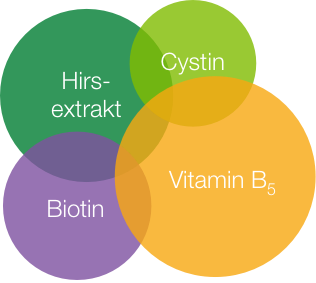 Vad innehåller Priorin® kapslar